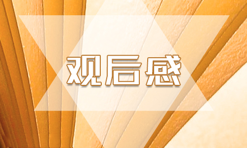 《國家監察》第四集個人心得體會5篇大全_2020《護航民生》觀后感范文精選