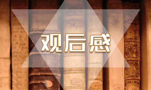 2020收看《國家監(jiān)察》第四集《護航民生》心得感想5篇精選